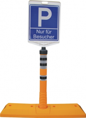 Parkschwelle 1000 mm mit Flexipfosten 765 mm